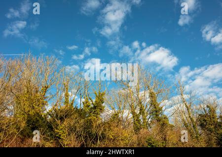 Striking blue sky, with fluffy white clouds, landscape over chalk downs, Croydon, Greater London, England Stock Photo