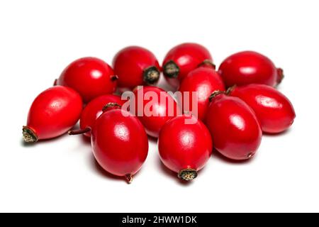 Rosehips (Rosa canina - dog rose fruits) isolated on white background Stock Photo