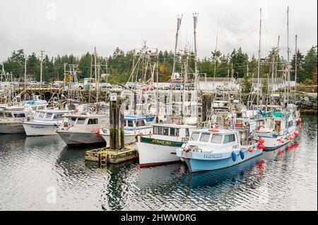 Commercial fishing boats tied up at the French Creek Harbour along the Vancouver Island Highway between Nanaimo and Courtney BC, Canada. Stock Photo