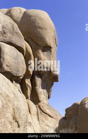 Face Rock Stone Feature Vertical Portrait in Joshua Tree National Park, California USA Stock Photo