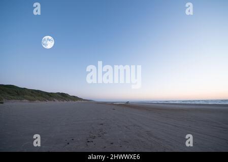 Jutland beach. A sandy beach along Jutland, the west coast of Denmark. Stock Photo