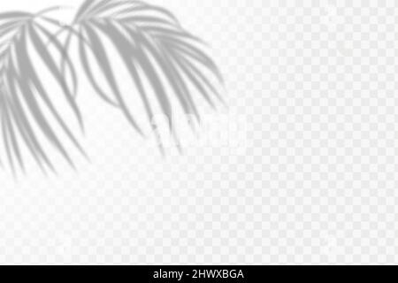 The effect of overlaying shadows. Natural light layout.Realistic shadow tropical leaves and branches on transparent checkered background. Stock Vector
