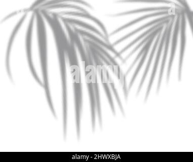 The effect of overlaying shadows. Natural light layout.Realistic shadow tropical leaves and branches on transparent checkered background. Stock Vector