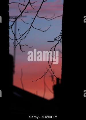 A vibrant, rich dawn over London between buildings, with tree branches, chimney pots and aerials silhouetted against a purple, pink and red sky. Stock Photo