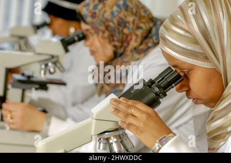 Science students using microscopes to analyse biological samples  in a university lab at the University of Khartoum,Sudan. (MODEL RELEASED) Stock Photo