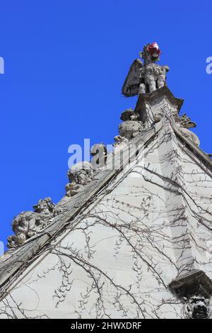 Old Gothic medieval gargoyle wearing a covid 19 pandemic face mask. Stock Photo