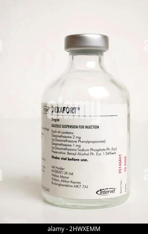Dexafort aqueos suspension for injection Stock Photo - Alamy