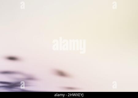 Natural foliage shadow on gradient paper background. Abstract pastel floral backdrop. Soft light. Stock Photo