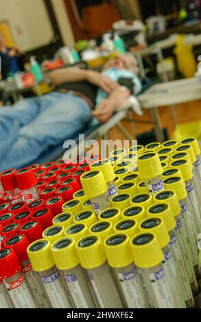 A rack of blood samples in Vacutainer test tubes Stock Photo