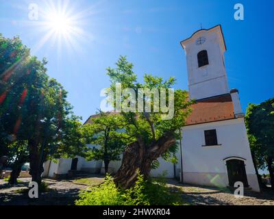 Church John the Baptist. The town Szentendre near Budapest. Europe, East Europe, Hungary Stock Photo