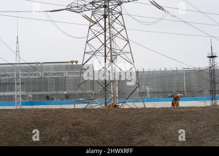 RUSSIA, MOSCOW - MAR 05, 2022: power industrial plant view energy, for environment pollution for technology and toxic factory, fuel danger. High Stock Photo