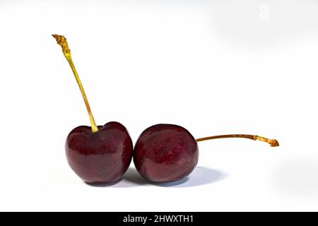 A pair of fresh Black Cherries, (so called even though they look reddish), photographed against a plain white background Stock Photo