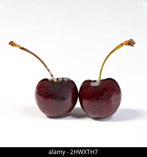 A pair of fresh Black Cherries, (so called even though they look reddish), photographed against a plain white background Stock Photo