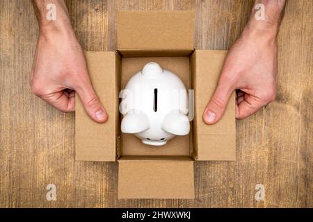 Piggy bank in open box made from corrugated cardboard. Concept for savings. Stock Photo