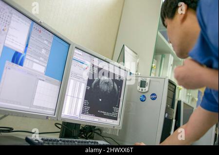 Imaging of a mouse brain Stock Photo - Alamy