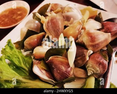 Thai chef cooking food fusion traditional southern thai food dog conch shell scallop steam boil with thai herbal dish plate for served guest customer Stock Photo