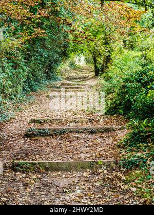 Part of the South West Coast Path near St. Mary's Bay, Brixham, Devon. Stock Photo