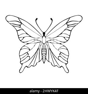Butterfly outline hand drawing doodle. Vector illustration Stock Vector