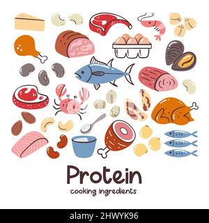 Foods with high protein content. Cooking ingredients collection. Meat, seafood, legumes, nuts. Healthy balanced diet. Stock Vector