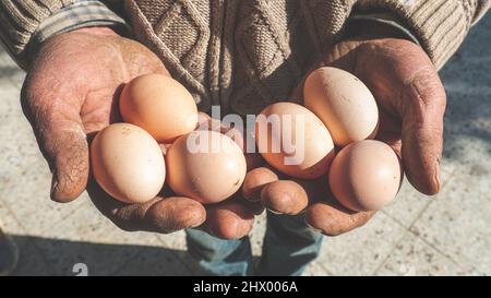 An old man is holding an egg and showing it. Natural product background. Stock Photo