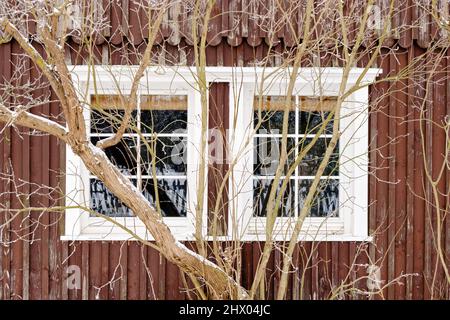 Countryside house window overgrown with frozen tree  in winter, cold weather background Stock Photo