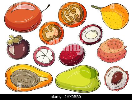 Set of vector illustrations in hand drawn style. Children's drawings, poster with tropical fruits. Collection of icons, badges, stickers. Exotic fruit Stock Vector