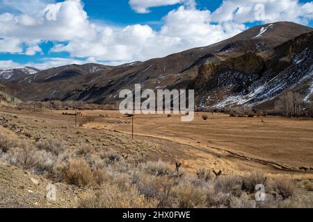 East Fork of the Salmon River area Stock Photo