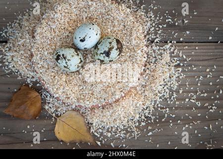 Group of three healthy organic quail eggs. Sitting speckled among fine wood shavings. Two white birch leaves nearby on wood. Stock Photo