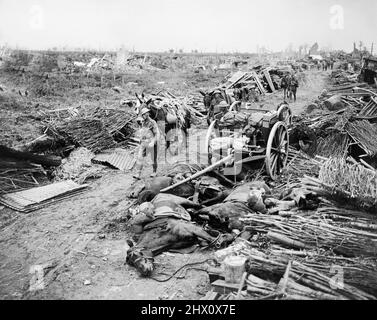 Pack mules passing a wrecked artillery limber and dead mules of the 36th Division on the road at Saint-Jean, 31 July 1917 during The Battle of Pilckem Ridge Stock Photo