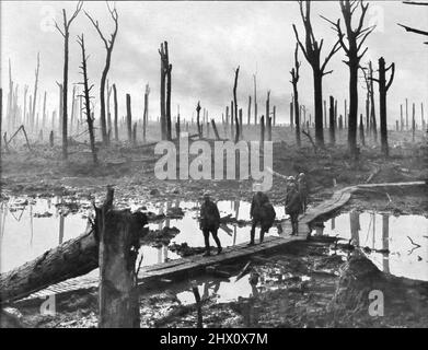 Soldiers of an Australian 4th Division field artillery brigade on a duckboard track passing through Chateau Wood, near Hooge in the Ypres salient, 29 October 1917.  The men belong to a battery of the 10th Field Artillery Brigade. Stock Photo