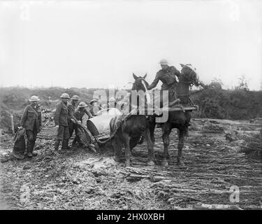 Horse drawn cart stuck in mud and people helping to dislodge it (ca ...