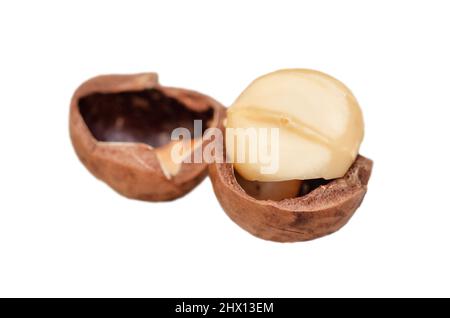 Macadamia nut split isolated on white background Stock Photo