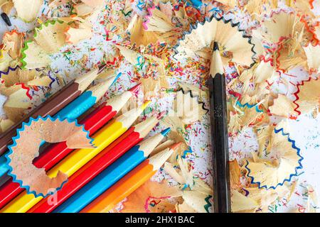Multicolored pencils and shavings from pencils on a white background Stock Photo