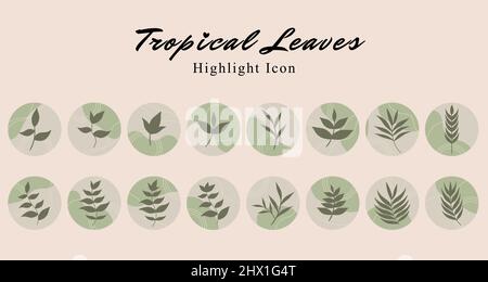 Set of tropical leaf botanical icon social media highlight story template banner with green abstract wave background. Vector illustration Stock Vector