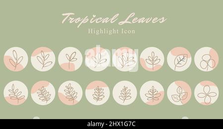 Set of tropical leaf botanical icon social media highlight story template banner with pink peach abstract wave background. Vector illustration Stock Vector