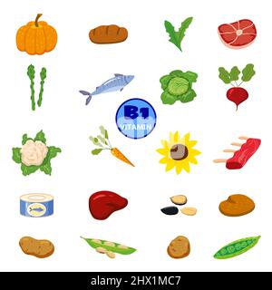 Set of Vitamin B origin natural sources. Healthy diary food, thiamin, fruits, greens, vegetables, fish, nuts, meat, bread. Organic diet products Stock Vector