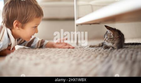 Lets be friends. A little boy lying on his bedroom floor and playing with a kitten.
