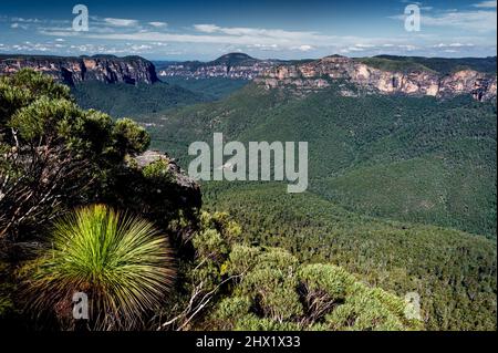 View into the wilderness of Grose Valley in Blue Mountains National Park. Stock Photo