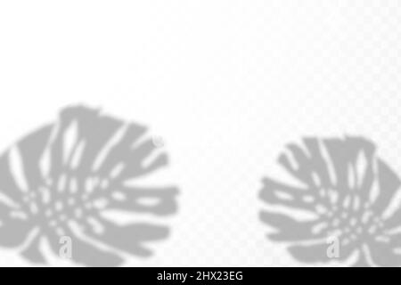 The effect of overlaying shadows. Natural light layout.Realistic shadow of tropical leaves or branches on transparent checkered background. Stock Vector