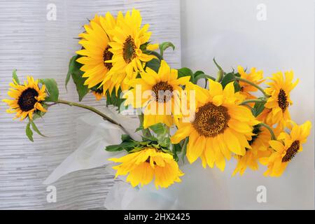 Sunflower in a vase in home. Stock Photo