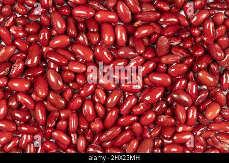 Close up of cooked red kidney beans. Full frame background. Stock Photo