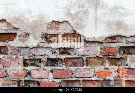 Old wall with brickwork under plaster Stock Photo