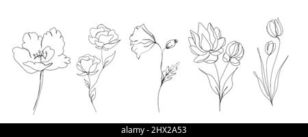 Big set of flowers continuous line drawing. One line art. minimalism sketch, idea for invitation, design of instagram stories and highlights icons Stock Photo