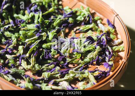 Bunga Telang Kering or Dried Butterfly Pea Flowers on woven bamboo plate. Isolated background. Stock Photo