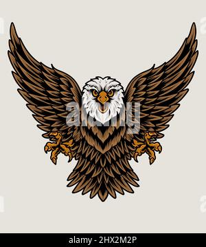 illustration eagle bird on white background Stock Vector