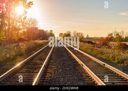 Empty railway tracks through the countryside at sunset in autumn. Lens flare. Stock Photo