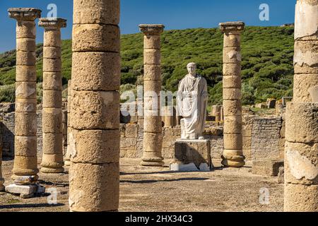Trajan Statue und Basilika der römische Ruinen von Baelo Claudia in Bolonia, Tarifa, Costa de la Luz, Andalusien, Spanien  |   Trajan Statue and  Basi Stock Photo