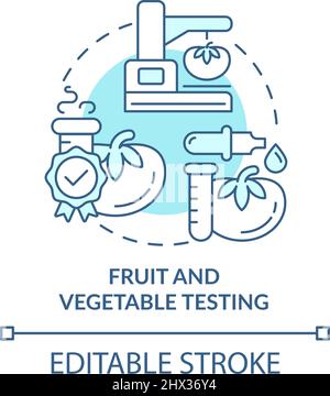 Fruit and vegetable testing turquoise concept icon Stock Vector