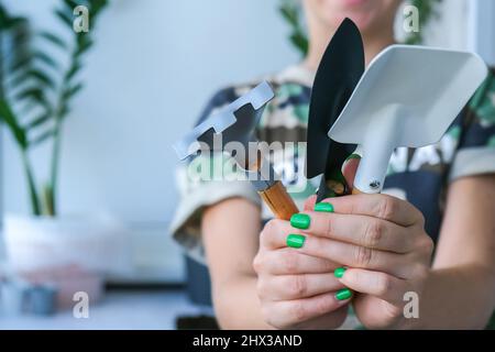 Woman holding gardening tools. Female gardener doing spring planting at home. Home plants. Indoor gardening. DIY Stock Photo