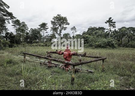 Crude oil, pollution, Ecuador, Texaco, Chevron, sick people, environment Stock Photo